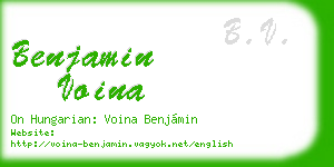 benjamin voina business card